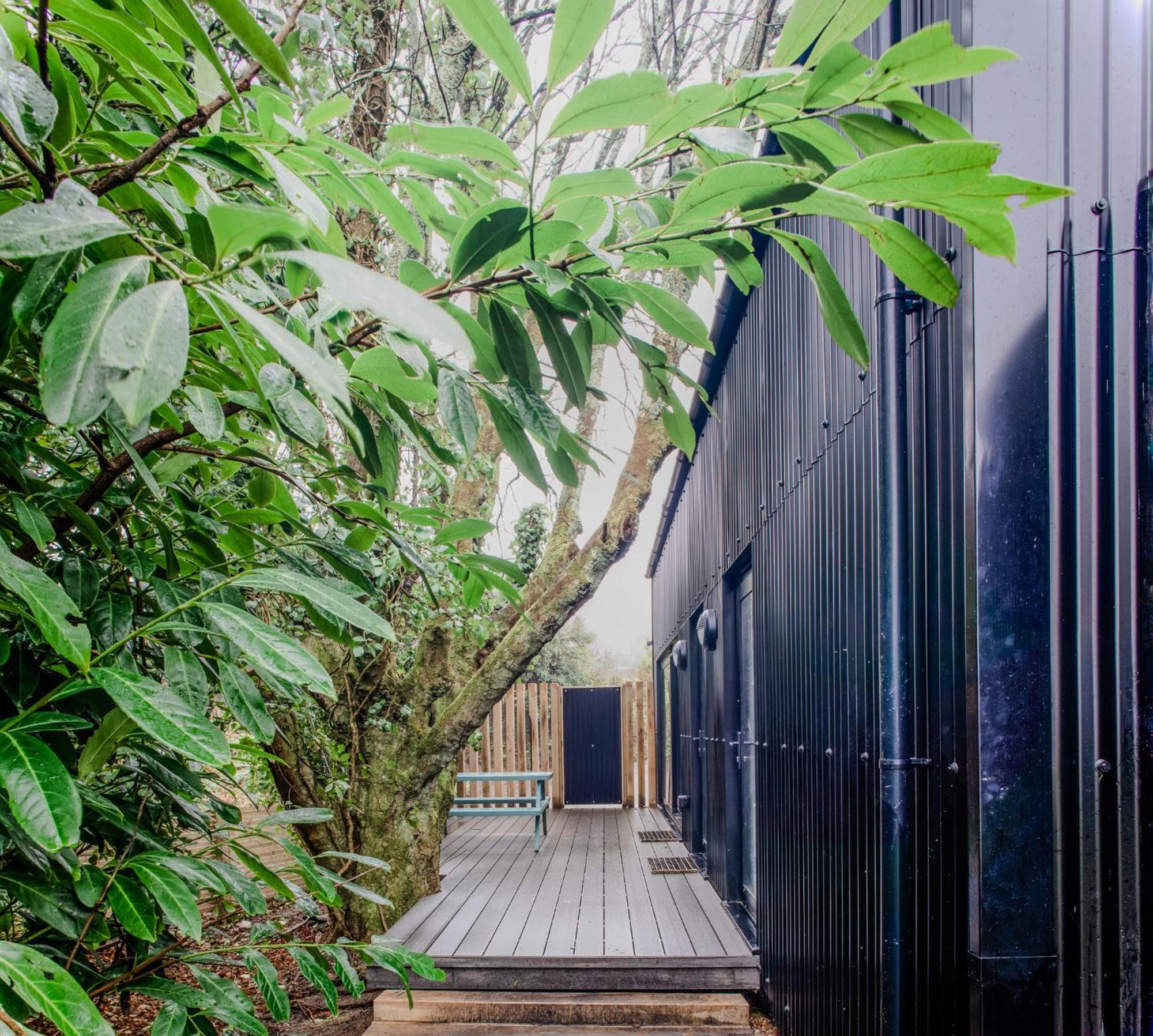 Lowen Tree House ทรูโร ภายนอก รูปภาพ